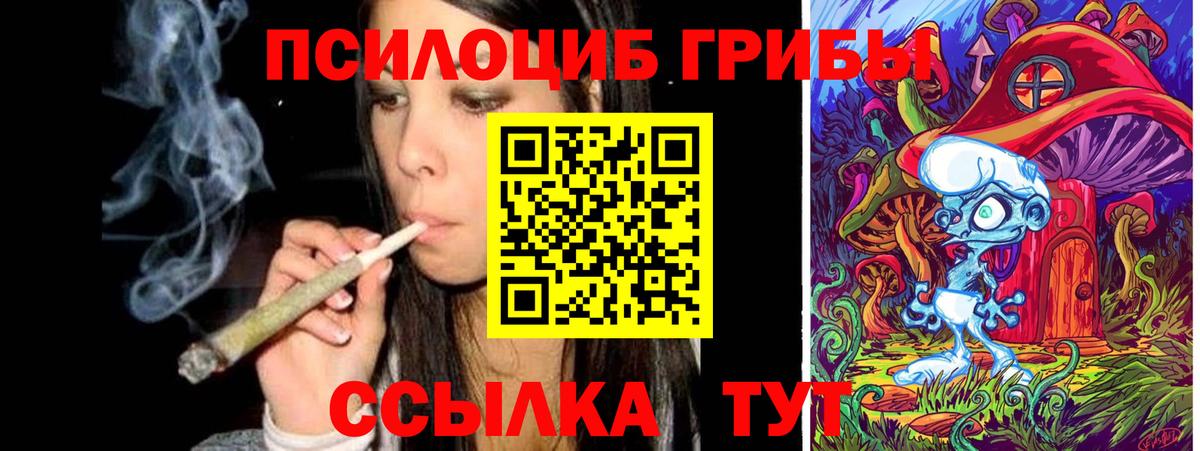Псилоцибиновые грибы Psilocybe Медногорск