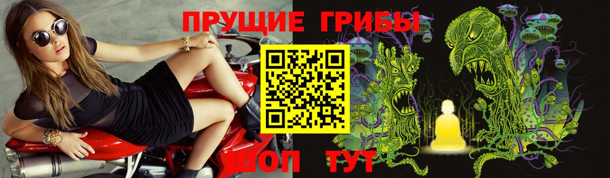 цена   Вход с VPN  Медногорск  Галлюциногенные грибы Cubensis 